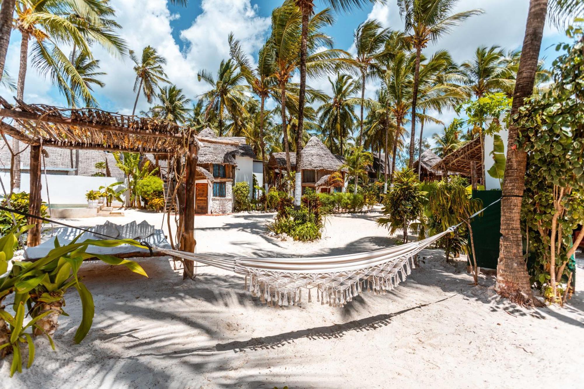 Maisha Matamu Beach Hotel Paje Exterior foto